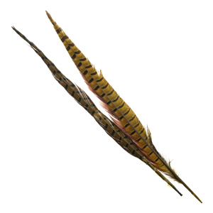 Перья фазана Hareline Ringneck Pheasant Tail Pair Olive