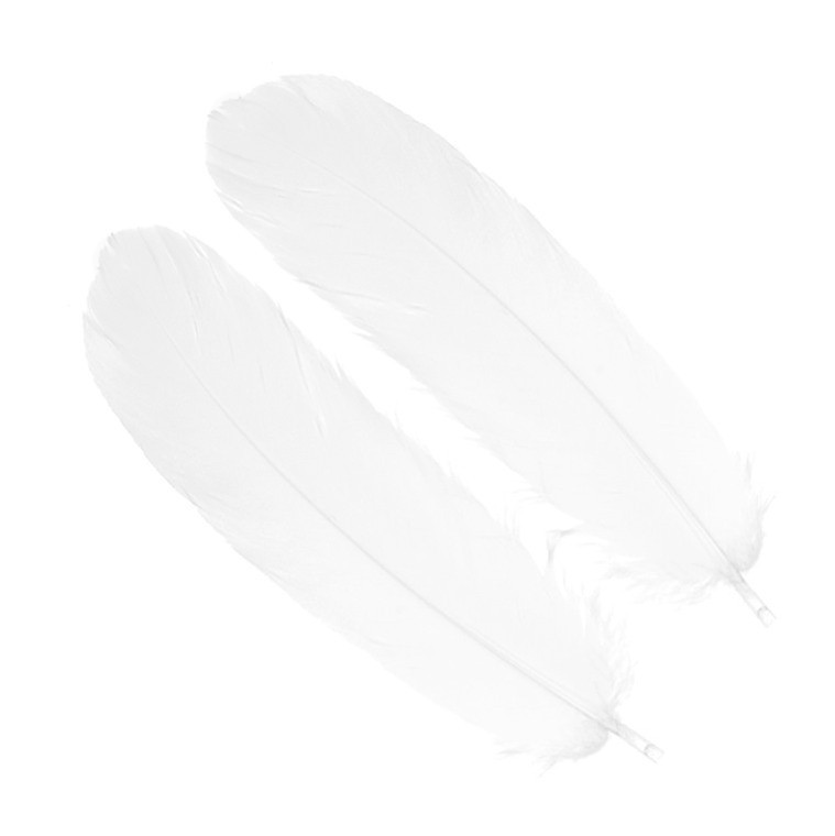 Перья гусиные Hareline Select Goose Shoulders White