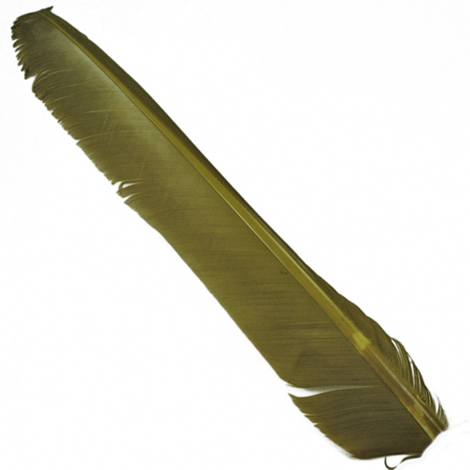 Индюшиные перья Hareline Turkey Biot Quills Dark Olive