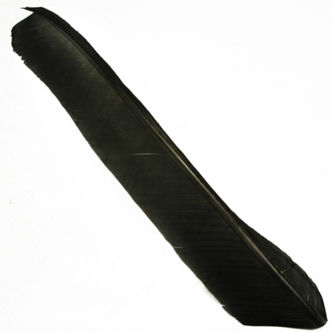 Индюшиные перья Hareline Turkey Biot Quills Trico