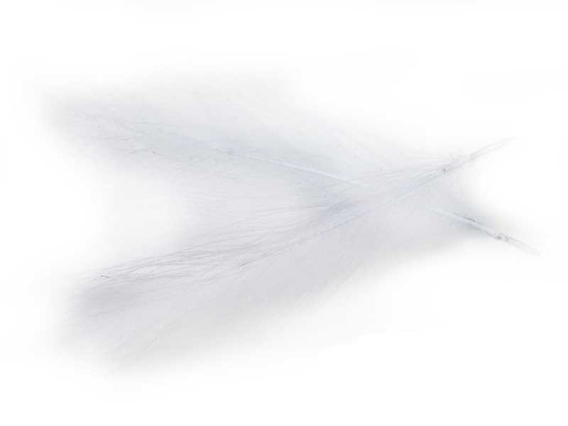 Перья Hends CDC-Feathers 07 Grey