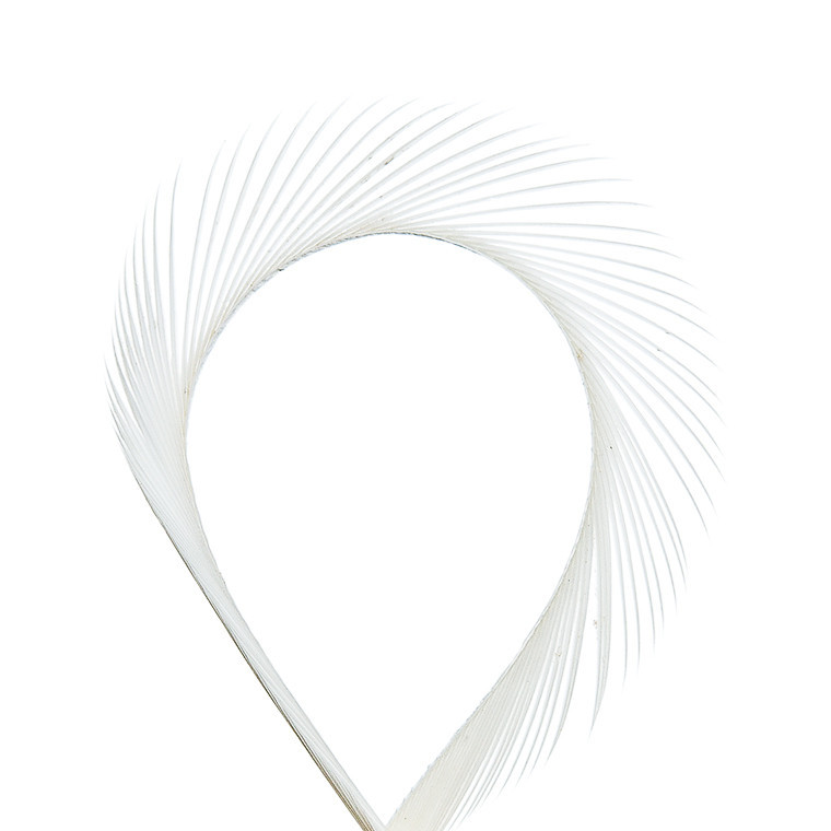 Биоты гуся WAPSI Goose Biots White