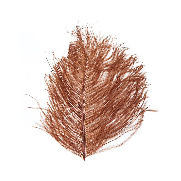 Перья страуса WAPSI Ostrich Plumes Brown