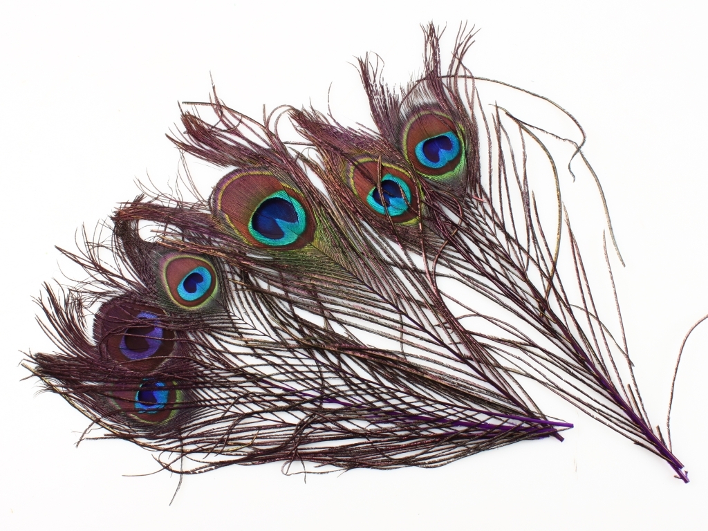 Перья павлина глазковые WAPSI Peacock Eyes Purple