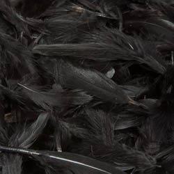 Перья куропатки Hareline Hungarian Partridge Feathers Black