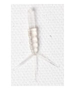 Заготовки для хвостиков Hemingway Realistic Mayfly tails Small Clear