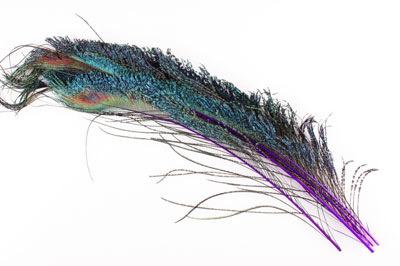 Перья павлина WAPSI Peacock Swords Purple