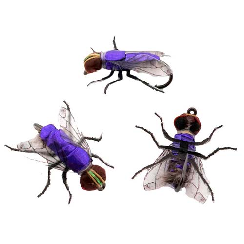 Мушка Падальщица #14 #5 Purple