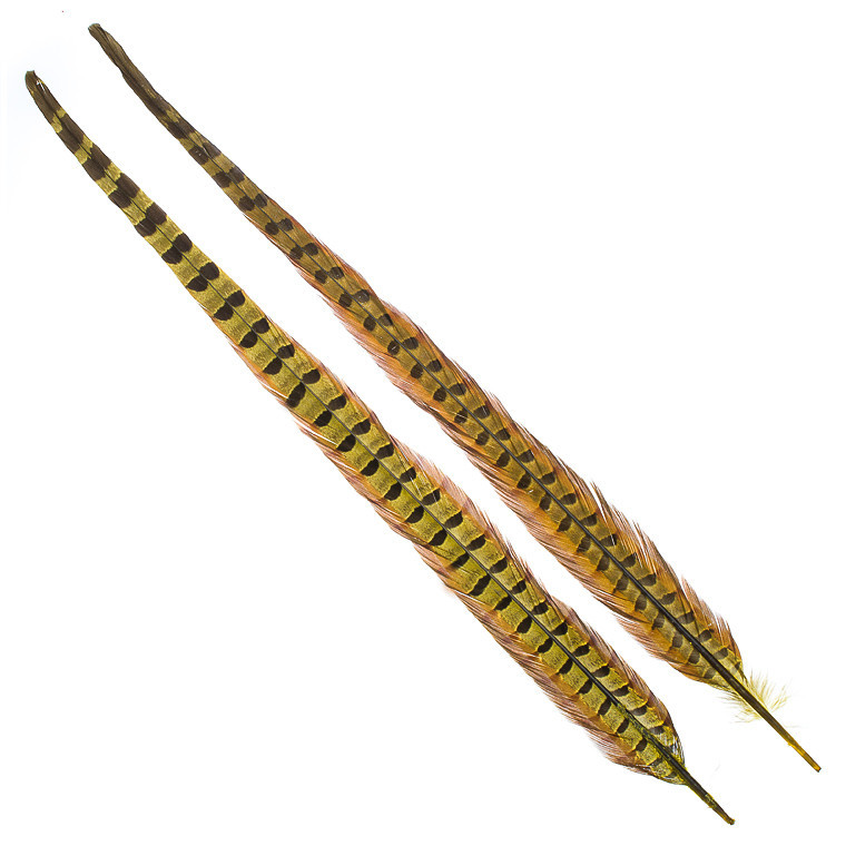 Перья фазана Hareline Ringneck Pheasant Tail Pair Yellow