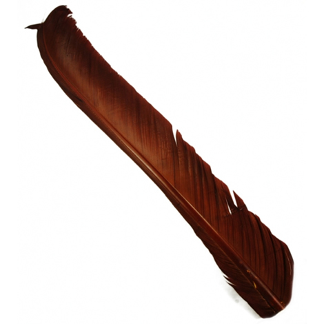 Индюшиные перья Hareline Turkey Biot Quills Mahogany