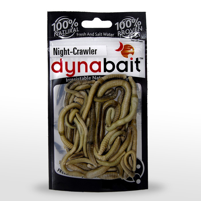 Червь земляной DYNABAIT Earth worms сушеный