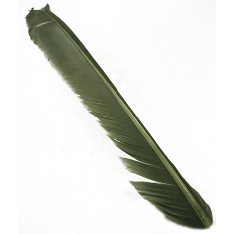 Индюшиные перья Hareline Turkey Biot Quills Gray Olive