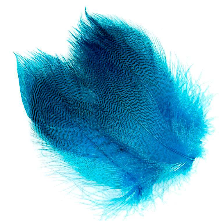 Грудные перья селезня WAPSI Mallard Barred Flank Peacock Blue