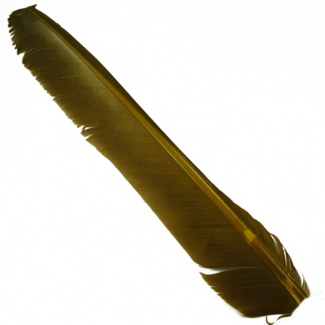 Индюшиные перья Hareline Turkey Biot Quills Blue Winged Olive