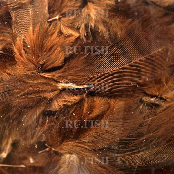 Перья куропатки Hareline Hungarian Partridge Feathers Brown