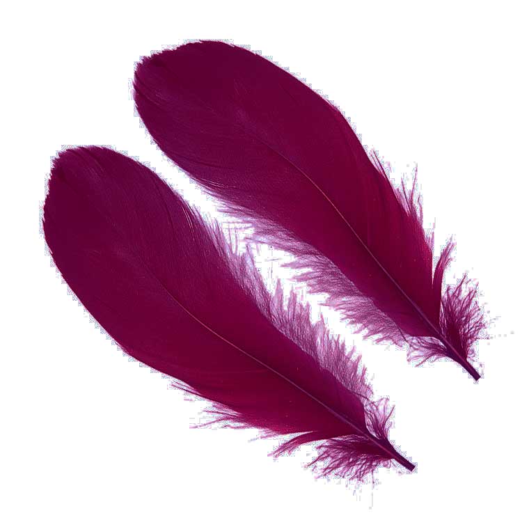 Перья гусиные Hareline Select Goose Shoulders Claret