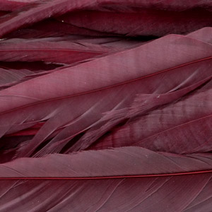 Набор длинных перьев Whiting Schlappen 10-14'' White dyed Claret
