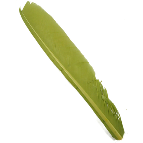 Индюшиные перья Hareline Turkey Biot Quills Pale Olive