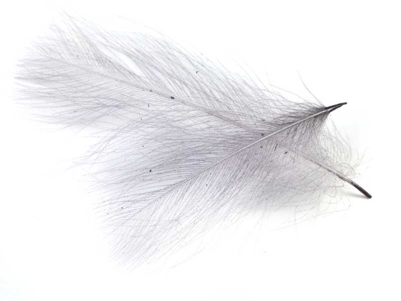 Перья Hends CDC-Feathers 12 Iron Dun