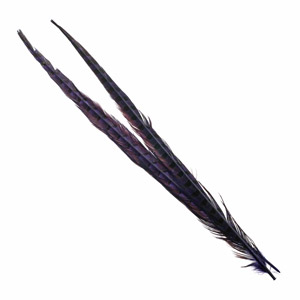 Перья фазана Hareline Ringneck Pheasant Tail Pair Purple