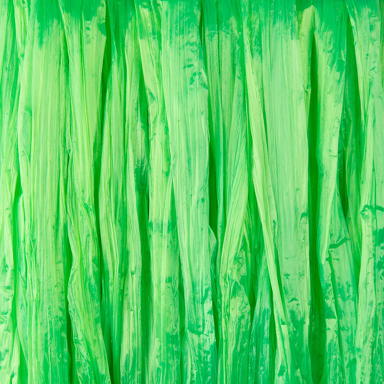 Рафия Wapsi Swiss Straw Fl. Chartreuse