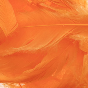 Набор перьев Whiting Schlappen 1/4oz. White dyed Shrimp Orange