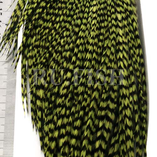 Скальп петуха Whiting High & Dry Hackle 1/2 Cape Grizzly dyed Olive