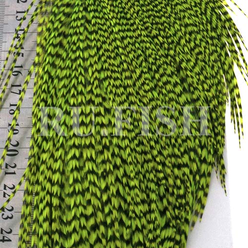 Скальп петуха Whiting High & Dry Hackle 1/2 Cape Grizzly dyed Fl.Green Chartreuse