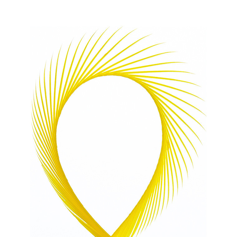 Биоты гуся WAPSI Goose Biots Yellow