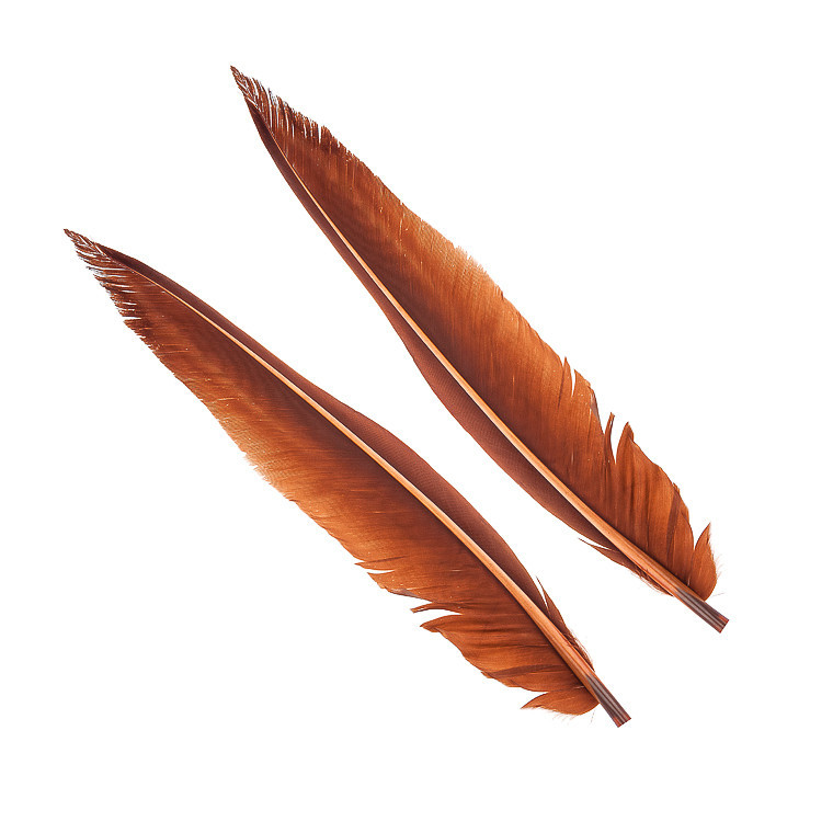 Перья гусиные Wapsi Goose Quills Brown
