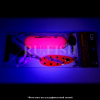 Снасть на кету Daiwa Akiaji Crusader Floating Lure Chokko Pack 45 гр Dot SP 4237 съемка в ультрафиолете