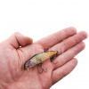 Воблер Asakura Bullhead 6 SR-SP 9.1 гр 219 на ладони