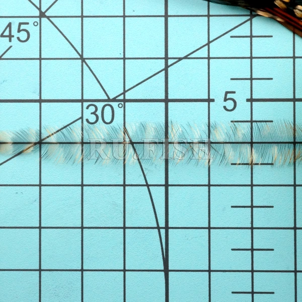Петушиное седло Whiting Heritage Hackle Saddle Grizzly Variant V5, размер бородок