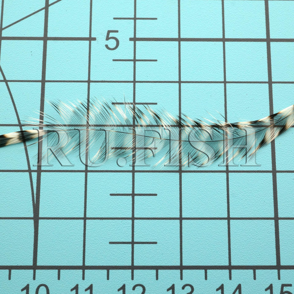 Набор перьев WHITING 100's Saddle Hackle #10 Grizzly, размер бородок