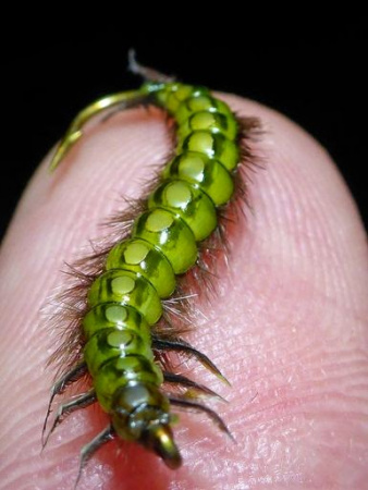 Крючки MUSTAD 80150 Swimming Nymph BR (25шт.)
