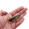 Воблер Asakura Bullhead 6 SR-SP 9.1 гр 800 спинка