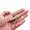 Воблер Asakura Bullhead 6 SR-SP 9.1 гр 219 на ладони, спинка