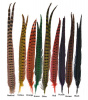 Перья фазана Hareline Ringneck Pheasant Tail Pair, фото
