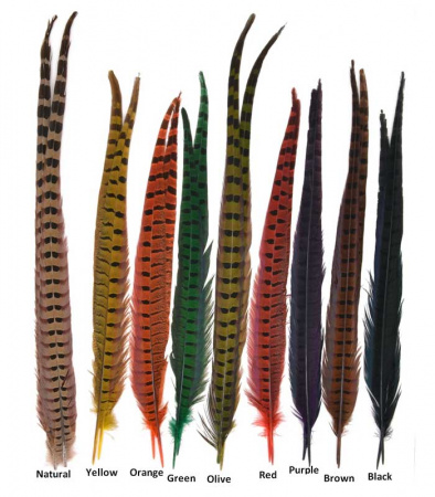 Перья фазана Hareline Ringneck Pheasant Tail Pair, фото