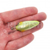 Воблер DUEL L-Bass Crank MR 50F 8.5 гр GSCB, спинка