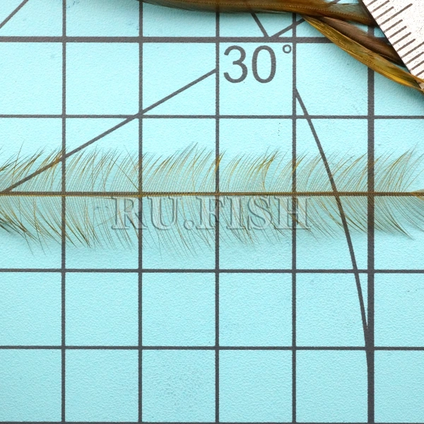 Седло петуха WHITING Dry Fly Saddle PROGRADE White dyed Dark Olive, размер бородок