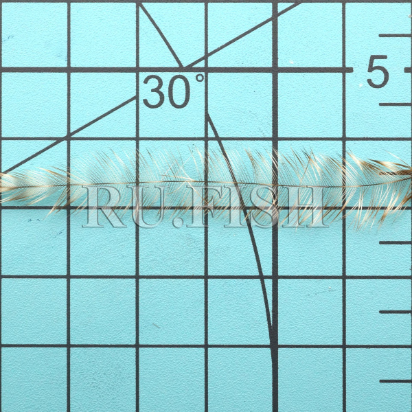 Петушиное седло Whiting Heritage Hackle Saddle Grizzly Variant V4, размер бородок
