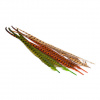 Перья фазана Hareline Ringneck Pheasant Tail Pair